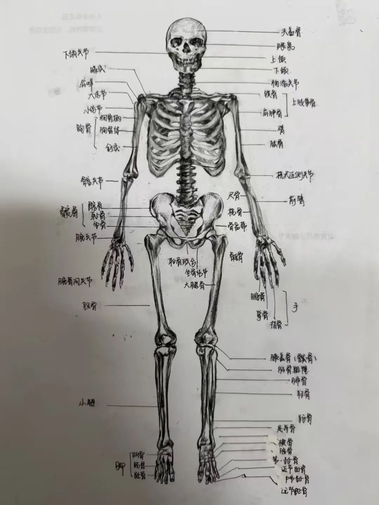 28c82da5abd1e67a92915e1ef007fb73.jpg