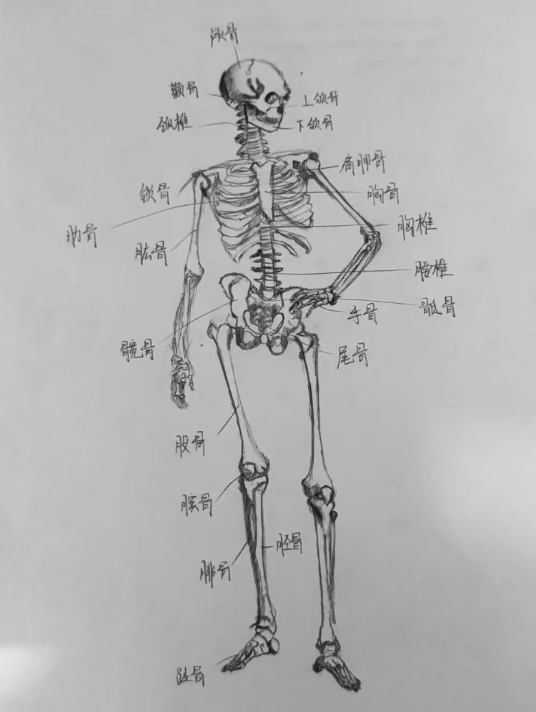 0f24ef99e7b5fafa6552cf2de028d1bd.jpg